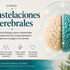 Aproximación a las Constelaciones Cerebrales GRABADO
